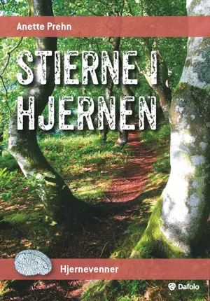 Stierne i hjernen