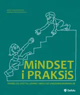 Mindset i praksis